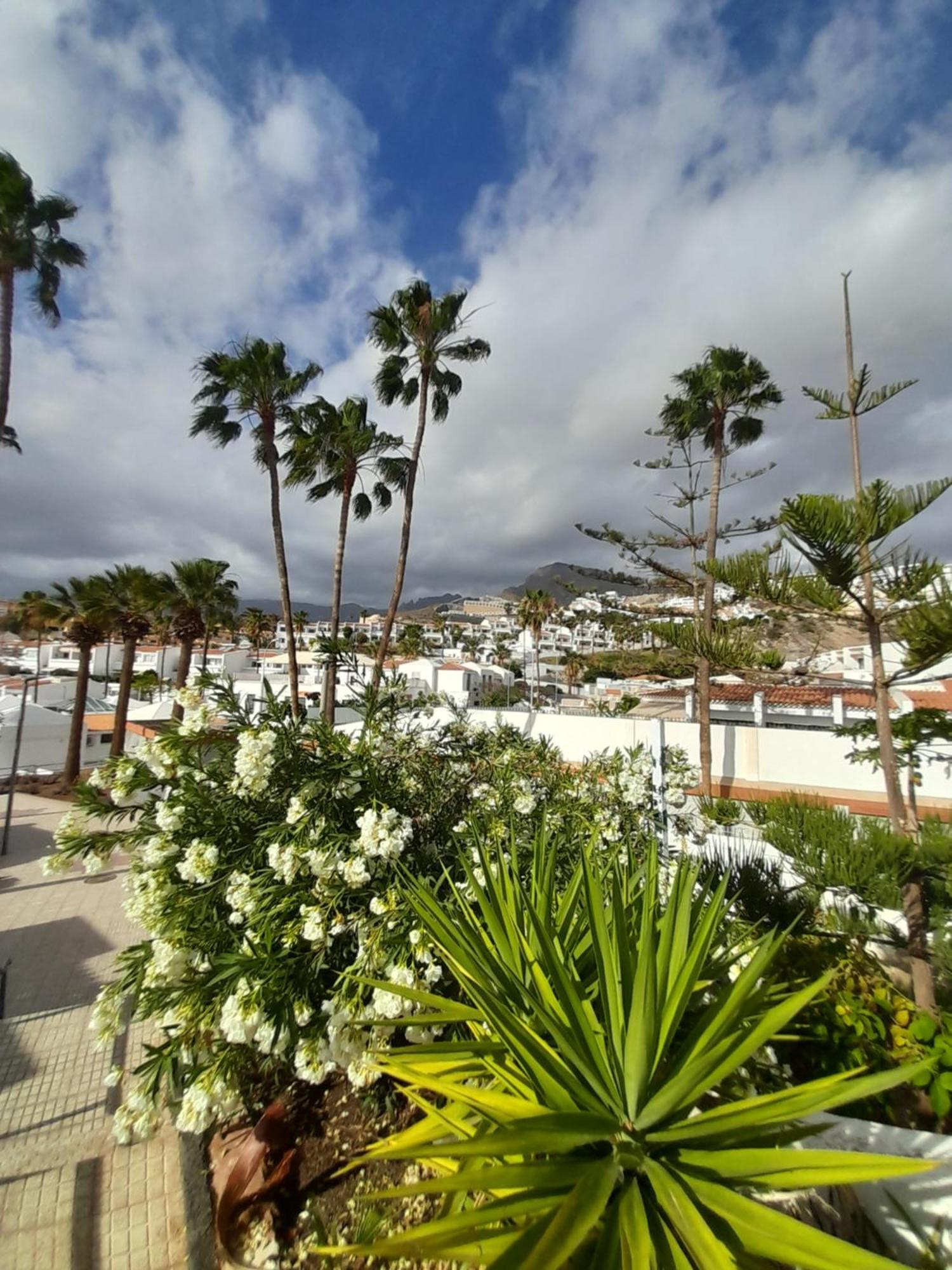 Apartments Island Village Heights Costa Adeje  Ngoại thất bức ảnh